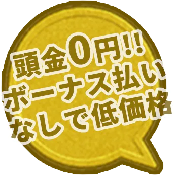 頭金0円 ボーナス払いなしで低価格