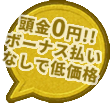 頭金0円 ボーナス払いなしで低価格