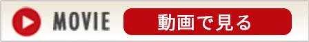 動画で見る