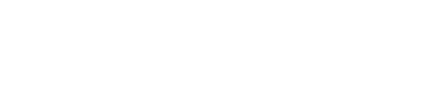 LEASE PARTNER LEXUS PLAN