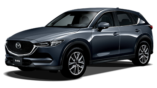 20S プロアクティブ