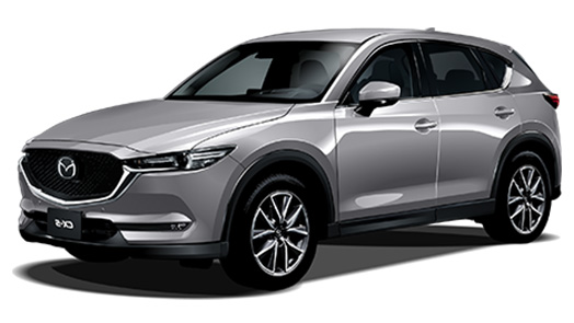 25S Lパッケージ