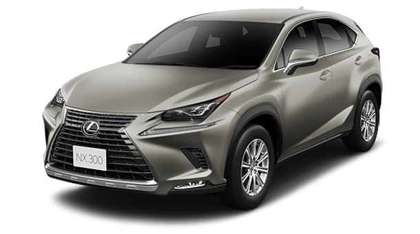 300　Ipackage（６FAT）