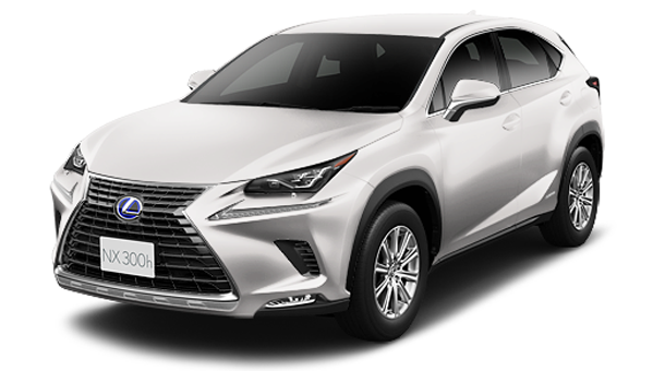 300ｈ Ipackage（FCVT）