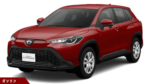 GX (FCVT)