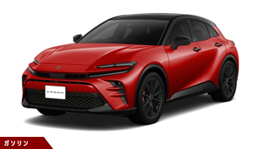SPORT RS (PHEV)（FCVT）