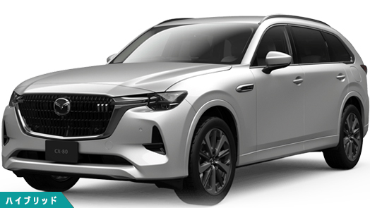 XD-HYBRID Premium Sports(8FAT)