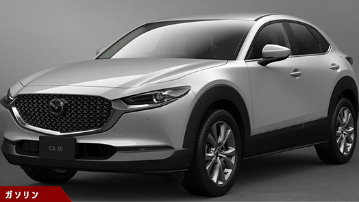 20S i Selection (6FAT) 20S i Selection (6FAT)