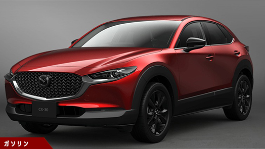 20S Black Selection (6FAT) 20S Black Selection (6FAT)