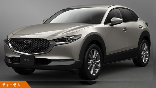 XD S Package (6FAT) XD S Package (6FAT)