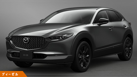 XD Drive Edition(6FAT) XD Drive Edition(6FAT)