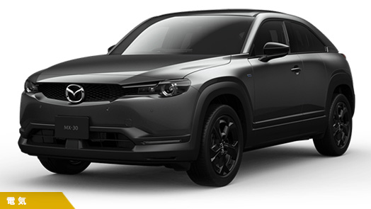 EV Retro Sports Edition（AT）