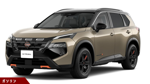 ROCK CREEK e-4ORCE 2列シート車 (AT)